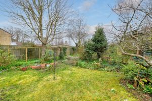 Garden- click for photo gallery